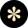Designer Daily Report logo