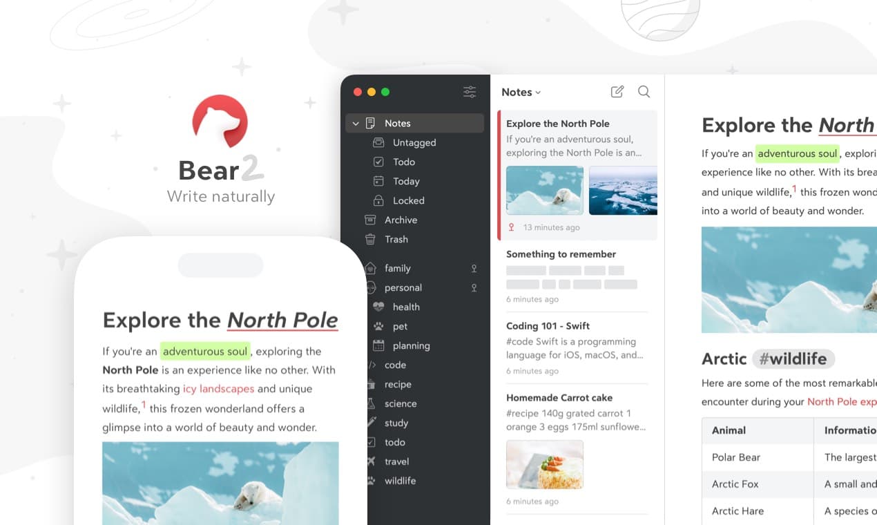 Bear cover