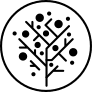Nautex AI logo