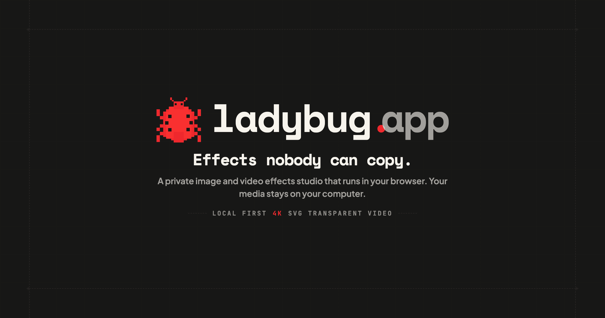 Ladybug