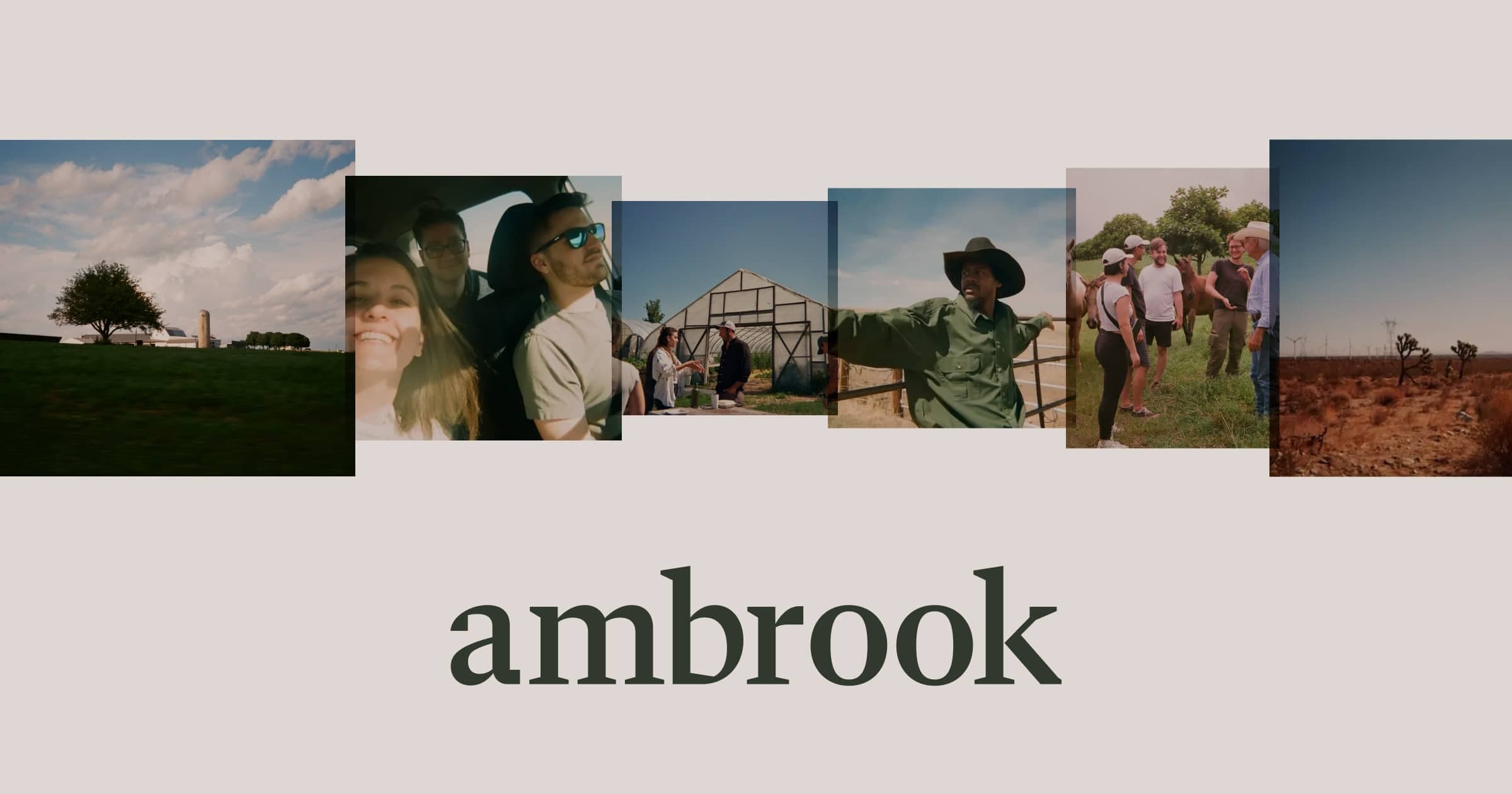 Ambrook cover