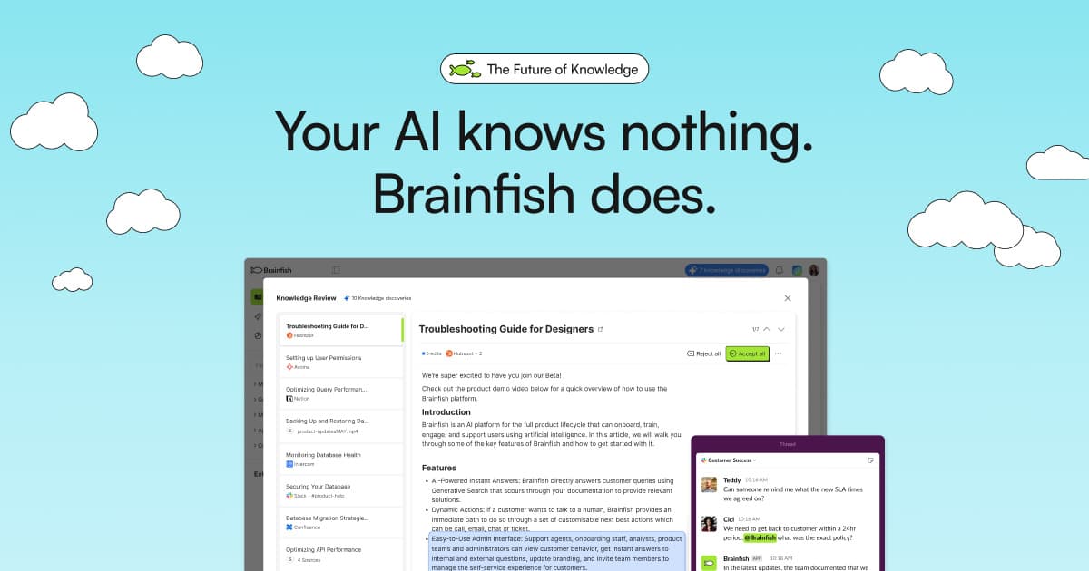Brainfish cover