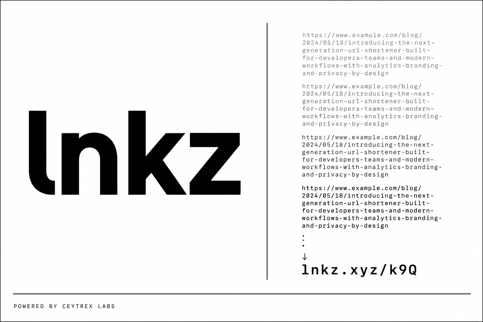 lnkz.xyz