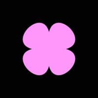 Orchids