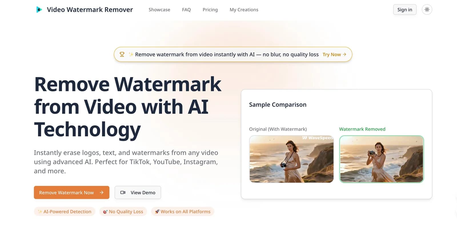 Video Watermark Remover