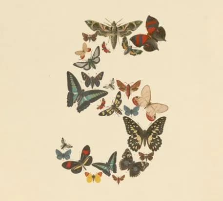 Claude Fable 5