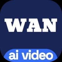 Wan Video